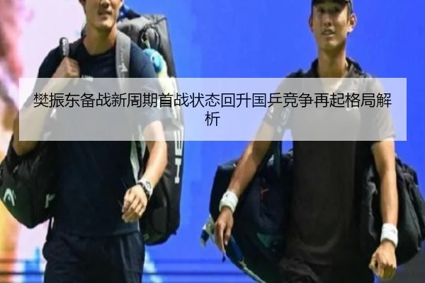 樊振东备战新周期首战状态回升国乒竞争再起格局解析