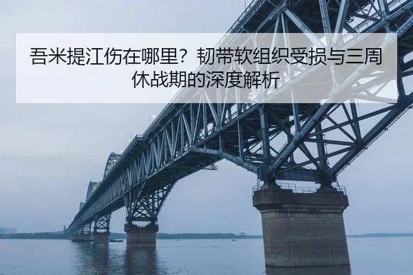 吾米提江伤在哪里？韧带软组织受损与三周休战期的深度解析 - qyh